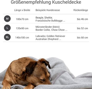 Doctor Bark м'яка флісова ковдра для собак, гіпоалергенна, пральна до 95°C, для дивану та лежака, 100x70 см, світло-сіра, Німеччина