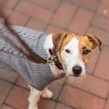 Шкіряний повідець для собак TRIXIE Rustic, регульований, L–XL, 2 м, 25 мм, темно-коричневий, для великих порід
