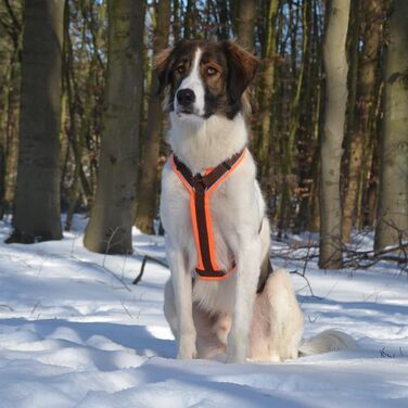 ANNYX Brustgeschirr Protect - жилет для грудей, захисний, помаранчево-коричневий, розмір L (XL)