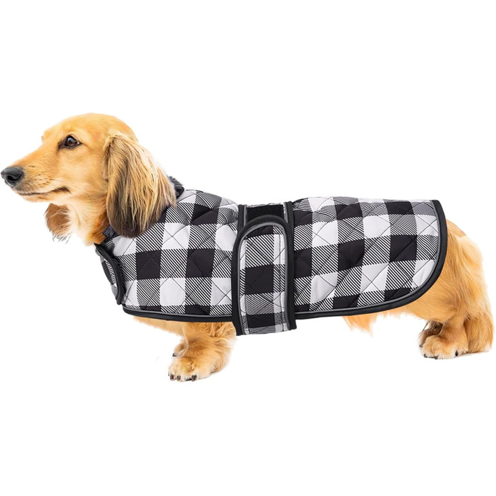 Водонепроникний теплий дощовик для такси для дрібних собак, тепла підкладка з флісу, регульований, чорно-білий, M (довжина спини 42-45 см)