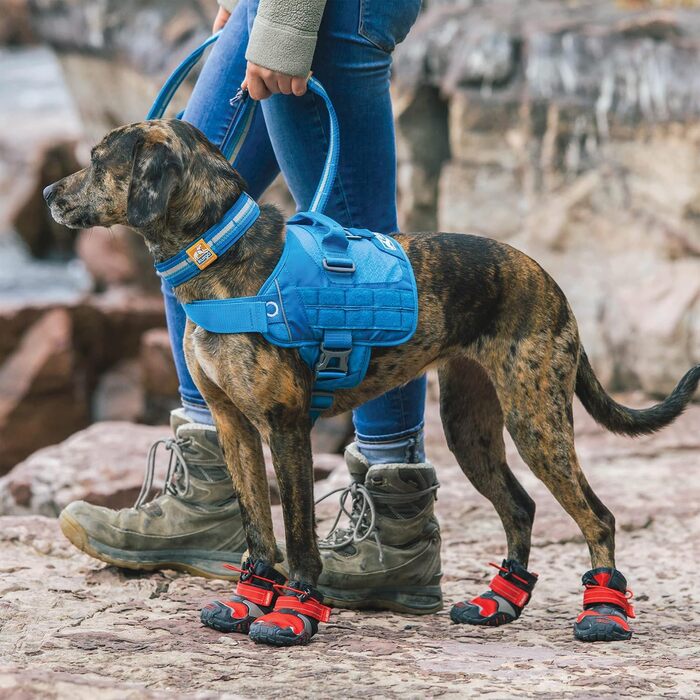 Шлейка для собак Kurgo Townie RSG, тренувальна жилетка з ручкою, світловідбиваюча, сумісна з MOLLE, XL, блакитна