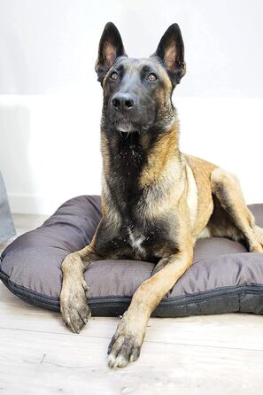 Ліжко для собак 4L Textil KLEO для великих собак, велике, знімний чохол, 130x110 см, коричневе