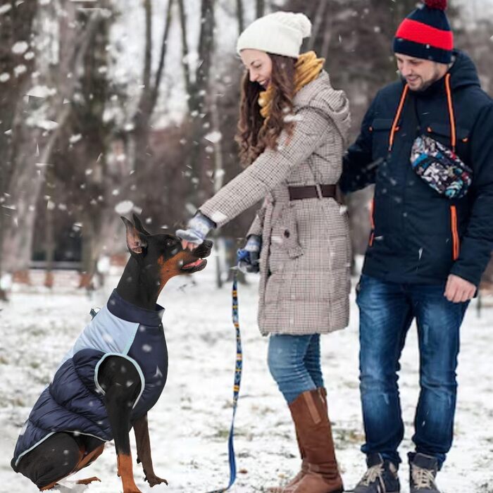 Зимовий теплий одяг для великих собак, XL - теплий зимовий одяг для собак, великих порід, світловідбиваючий, з коміром-гетром, для снігу, червоний (темно-синій, 2XL)