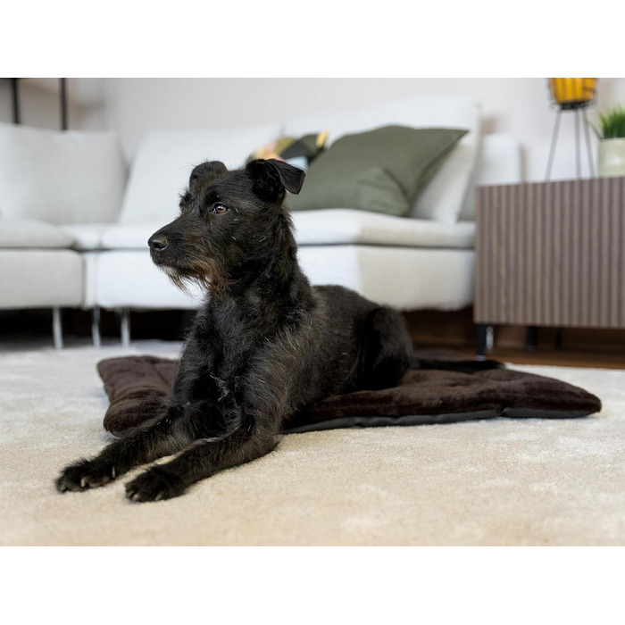 М'яка підстилка Harmony Flex для собак та котів, 50x35 см, з водонепроникним дном