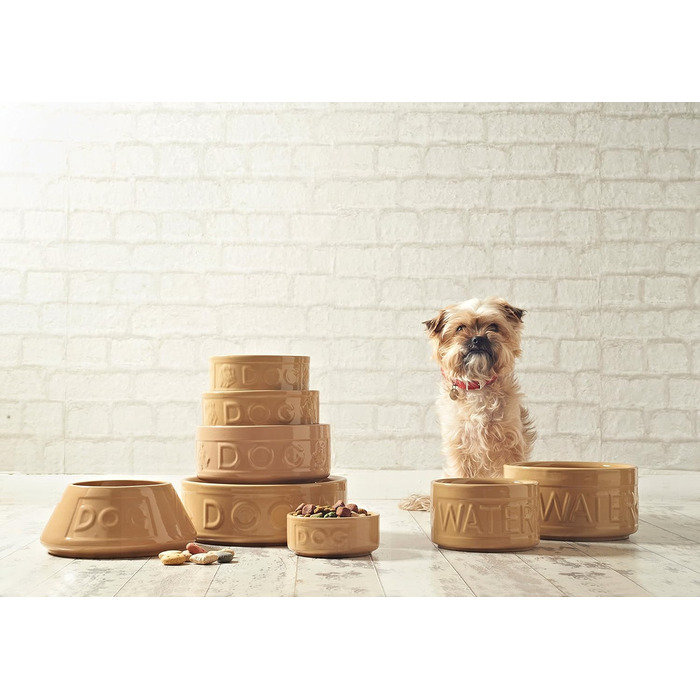 Миска для собак Mason Cash з написом 