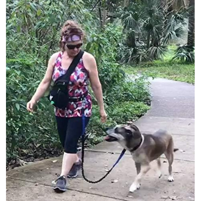 Сумка для ласощів Paw Leckerli-Tasche для дресирування собак, чорна