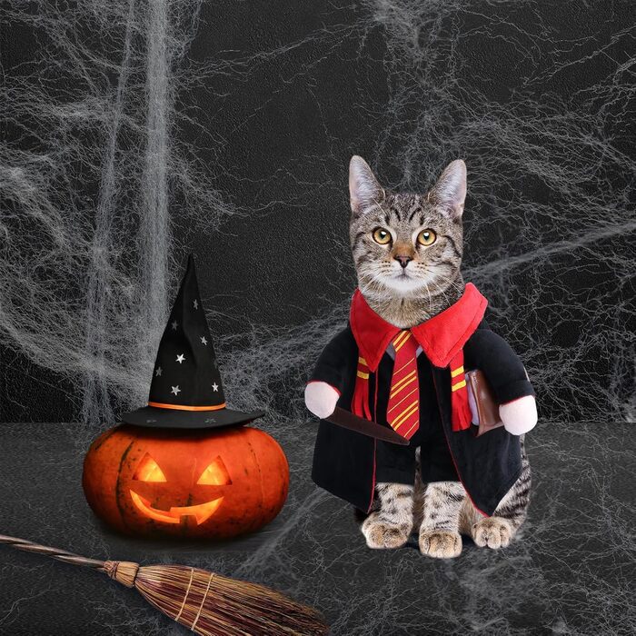 Костюм на Хелловін для собак DELIFUR - Чарівник, для котів, косплей, відпочинок, карнавал, маленькі та середні породи, великий розмір L, мультяшний