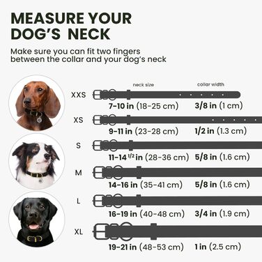 Нашийник для собак BRONZEDOG з QR-ID, шкіряний, регульований, чорний (Чорна ніч), 40-48 см