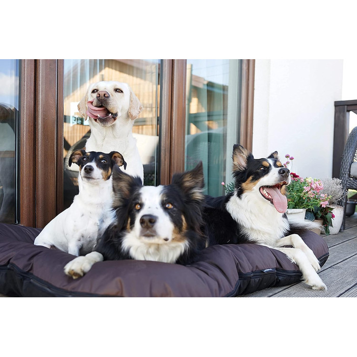 Ліжко для собак середніх розмірів 4L Textil KLEO, 90x70 см та 130x110 см, колір бежевий/темно-зелений, з блискавкою, вологостійке, знімний чохол