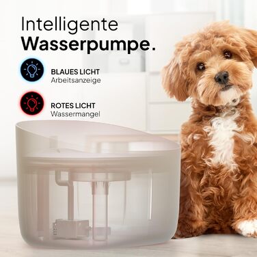 Тринкувач для собак Pretty PAW® з LED-підсвіткою та фільтром | 7 л, BPA-free | Білий (Бежевий)