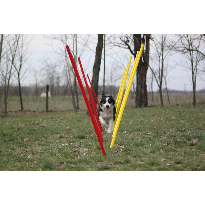 Набір для тренувань Wuzzmann Agility - Слайт-конуси (12 шт), червоно-жовтий
