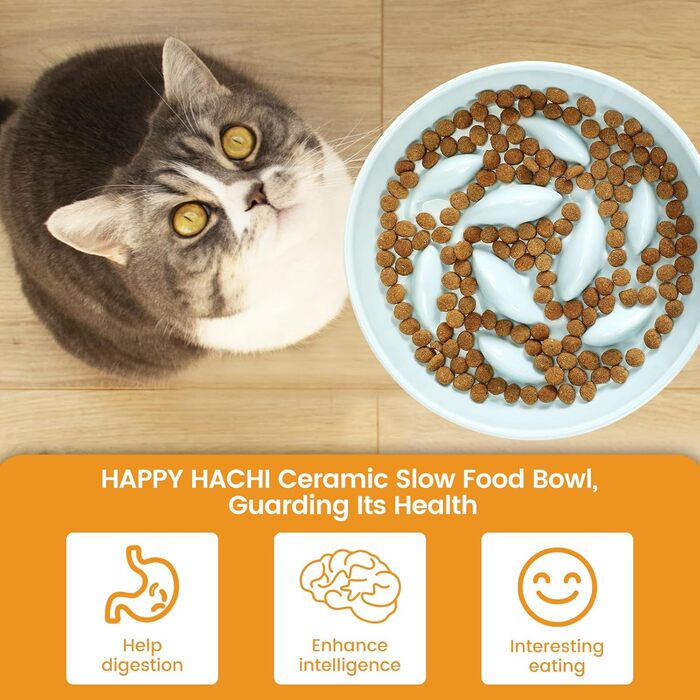 Миска для котів Happy Hachi з підняттям, кераміка, повільне годування, антиковзаюча, для котів та маленьких собак (зелена)