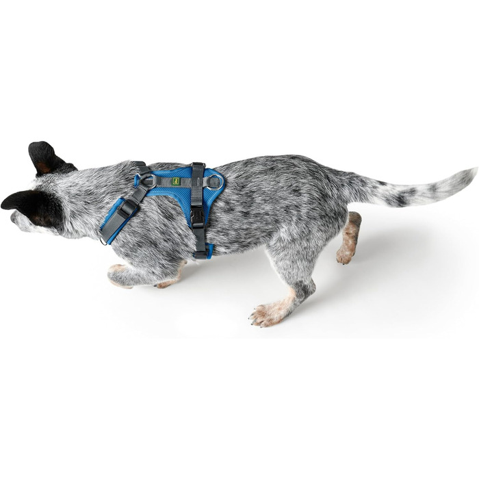 Нашийник для собак HUNTER Maldon, блакитно-сірий, м'який, з 3M Scotchlite, регульований, з ручкою, S-M