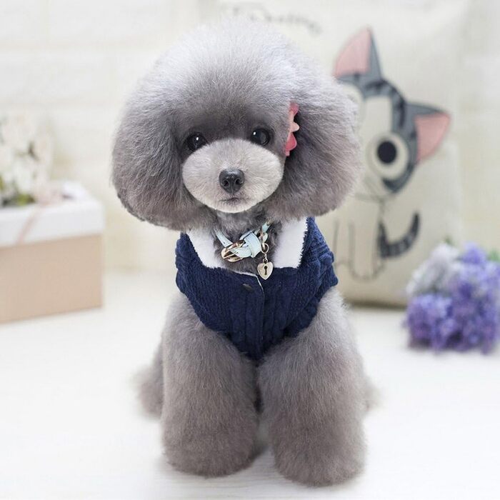 Світер для собак SMALLLEE_LUCKY_STORE з капюшоном, теплий худі, куртка, верхній одяг для маленьких собак, блакитний, розмір M (Спина: 24 см, Груди: 37 см)