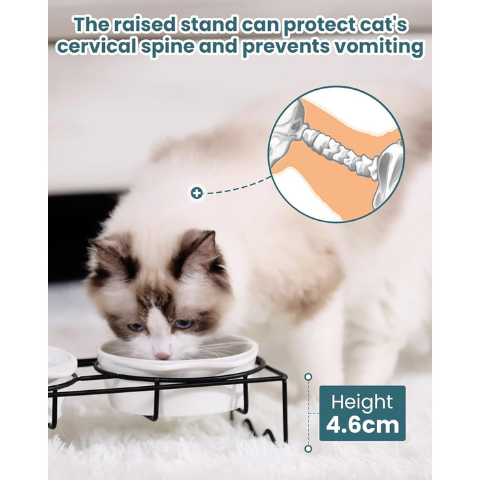 Набір мисок для котів PETTOM (2 шт.) з підставкою, кераміка, захист шиї, зелений + сірий