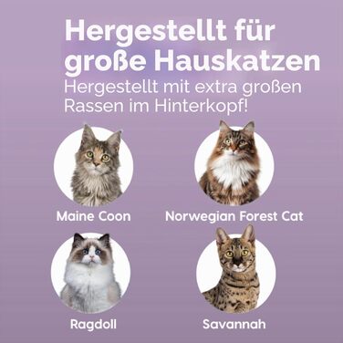 Лоток для котів Iris Ohyama XXL сірий з високими бортиками для великих порід (Maine Coon) та двох котів, знімні борти, захист від розсипання, BPA-free