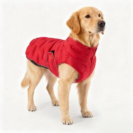 колір: гниль