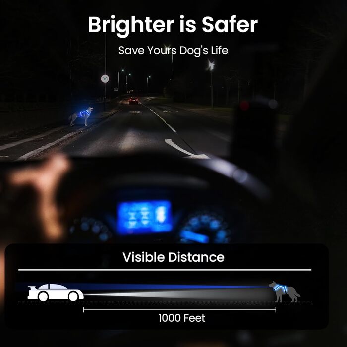 LED іграшка для собак MABRILL з імітацією звуку, світлодіодна, перезаряджувана, з ручкою, чорна (S, синій)