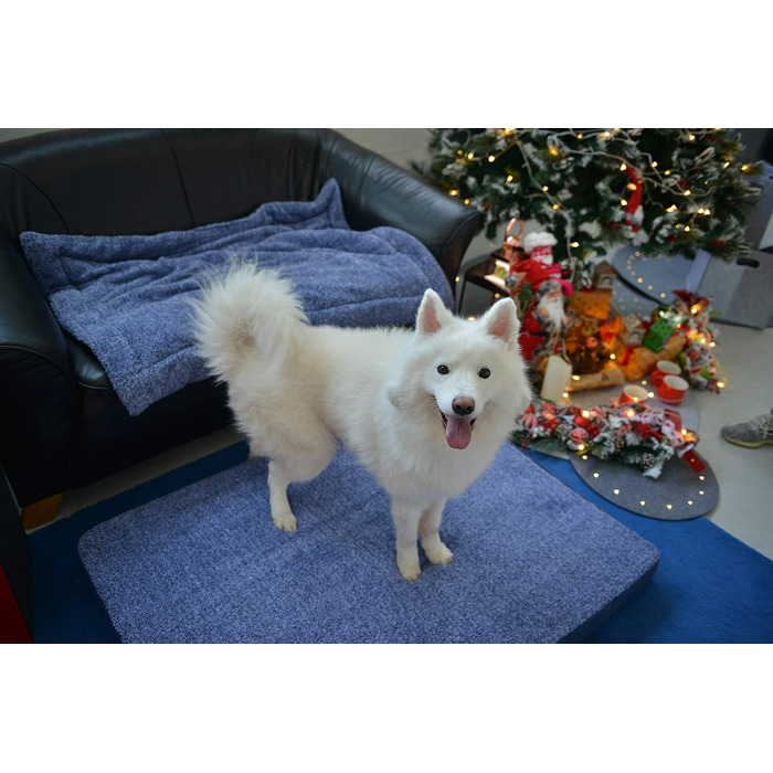 Підстилка для собак та котів Raikou з плюшевою подушкою, флісова, зручна та нековзна (100x70 см)