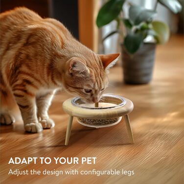 Підвищена годівниця для котів Navaris - годівниця для котів на підставці, 600 мл, скло та дерево