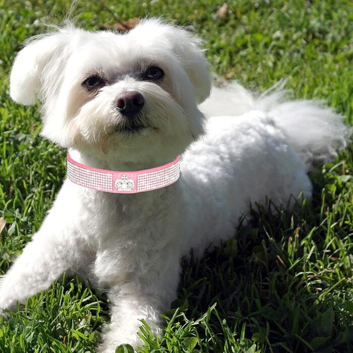 Нашийник для собак HALFSUO з розшитою стразами, м'яка шкіряна обв'язка, поводок Cobo, набір, рожевий (L)