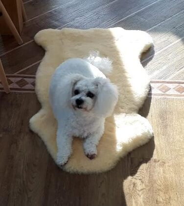 М'який лежак для собак та котів з овечої вовни Merino, 60 см. Оeko-Tex 100, німецька якість. Легко миється.