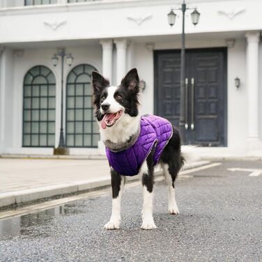 Теплий флісовий одяг для собак JoyDaog, D-подібні кільця, водонепроникна куртка для цуценят на зиму, червоний, розмір S