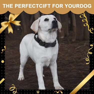 Тактичне обплетене нашийник для собак Vivi Bear, нейлон, великі породи, чорний (L)