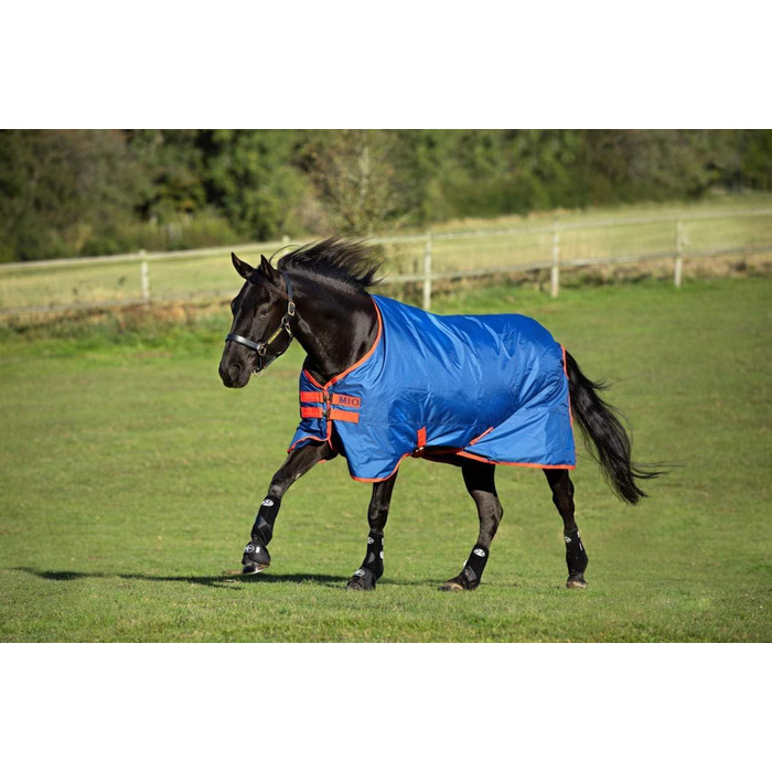 Зимова водонепроникна кінська попона Horseware Amigo Mio, середня товщина, чорна з бірюзовим, розмір 3'9